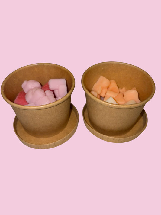 Bundle of 2 Mini Wax Melt Scentral Scoopie Pots